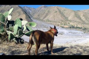 Miniatura publicación